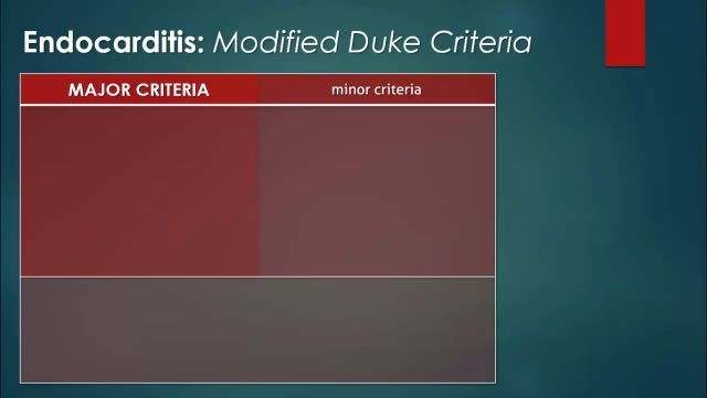 Infective Endocarditis: Duke Criteria, Echo Findings & Antibiotic Protocols